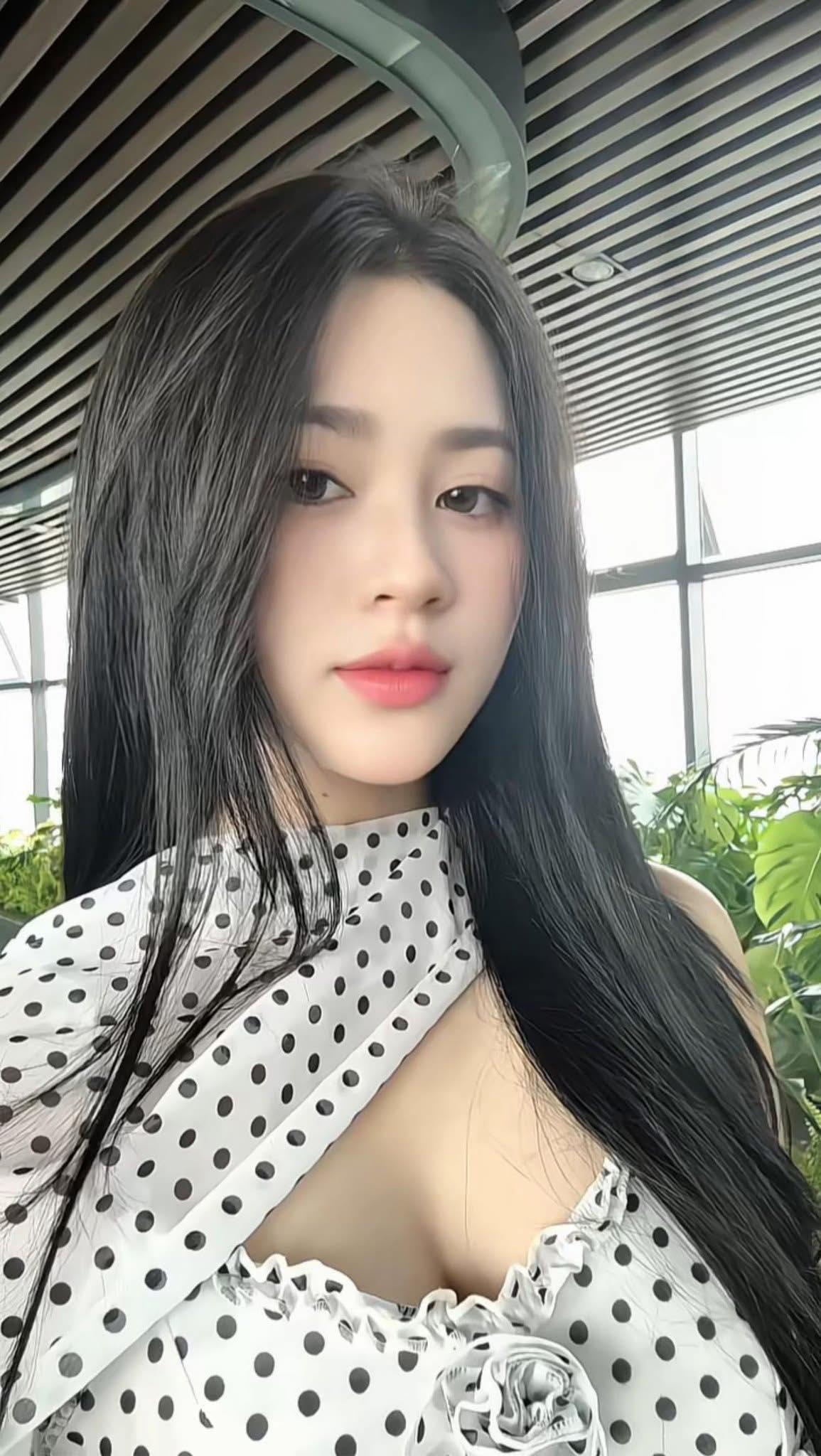 青春旋律